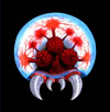Metroid concept